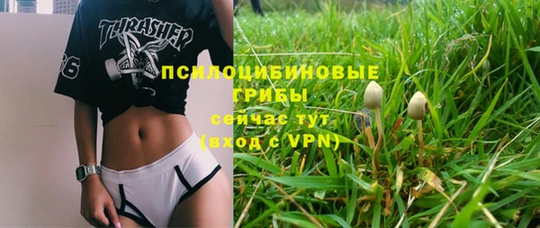 прущий лед Белоозёрский